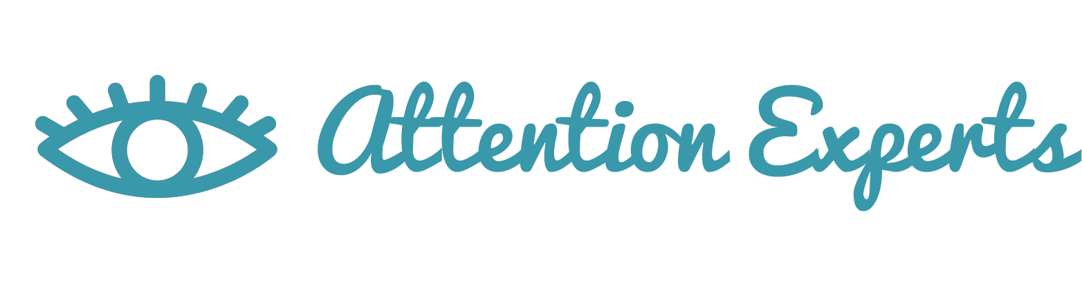 Attention Experts